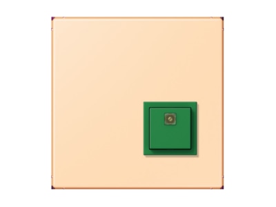Product image Jung NRS LC 0834 AT223 Switching device for handicapped people
