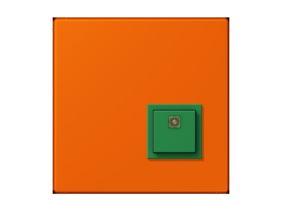 Product image Jung NRS LC 0834 AT224 Switching device for handicapped people
