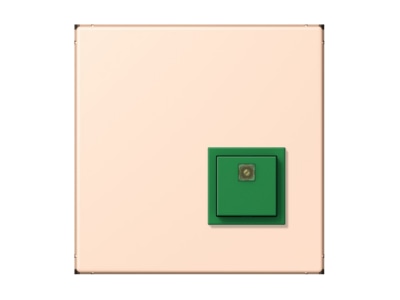 Product image Jung NRS LC 0834 AT228 Switching device for handicapped people
