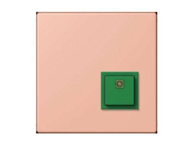 Product image Jung NRS LC 0834 AT231 Switching device for handicapped people
