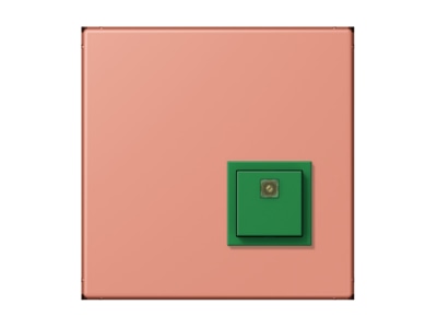 Product image Jung NRS LC 0834 AT233 Switching device for handicapped people
