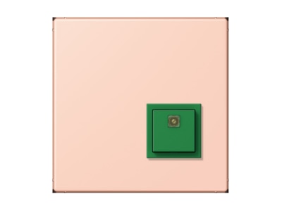 Product image Jung NRS LC 0834 AT234 Switching device for handicapped people
