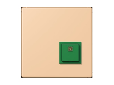 Product image Jung NRS LC 0834 AT237 Switching device for handicapped people
