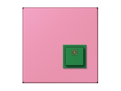 Product image Jung NRS LC 0834 AT246 Switching device for handicapped people

