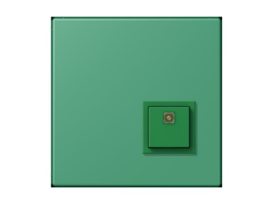 Product image Jung NRS LC 0834 AT250 Switching device for handicapped people
