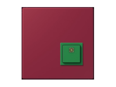Product image Jung NRS LC 0834 AT255 Switching device for handicapped people
