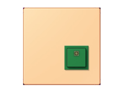 Product image Jung NRS LC 0834 AT258 Switching device for handicapped people
