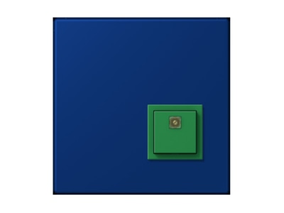 Product image Jung NRS LC 0834 AT261 Switching device for handicapped people
