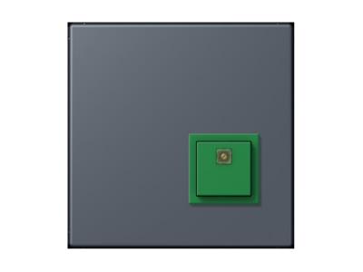 Product image Jung NRS LC 0834 AT262 Switching device for handicapped people
