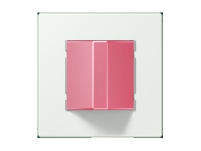 Product image Jung NRS LC 0834 RM210 Switching device for handicapped people
