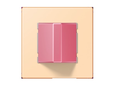 Product image Jung NRS LC 0834 RM223 Switching device for handicapped people
