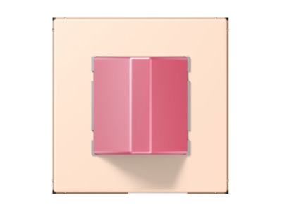 Product image Jung NRS LC 0834 RM228 Switching device for handicapped people
