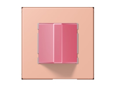Product image Jung NRS LC 0834 RM231 Switching device for handicapped people

