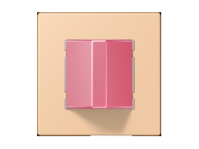 Product image Jung NRS LC 0834 RM237 Switching device for handicapped people
