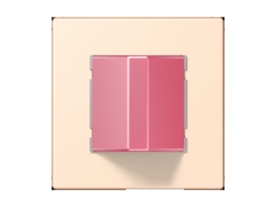 Product image Jung NRS LC 0834 RM238 Switching device for handicapped people
