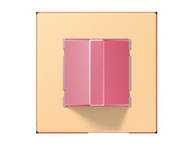 Product image Jung NRS LC 0834 RM258 Switching device for handicapped people
