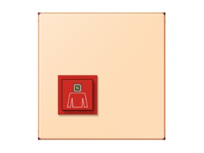 Product image Jung NRS LC 0834 RT223 Switching device for handicapped people
