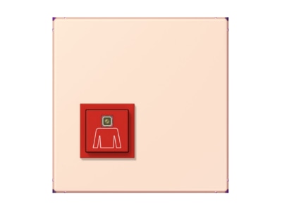 Product image Jung NRS LC 0834 RT226 Switching device for handicapped people
