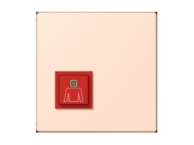 Product image Jung NRS LC 0834 RT228 Switching device for handicapped people
