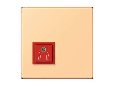 Product image Jung NRS LC 0834 RT258 Switching device for handicapped people

