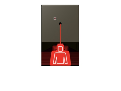 Product image Jung NRS LC 0834 ZT241 Switching device for handicapped people
