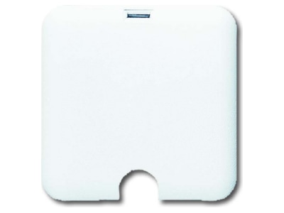 Product image Busch Jaeger 3741 UJ Appliance connection box flush mounted
