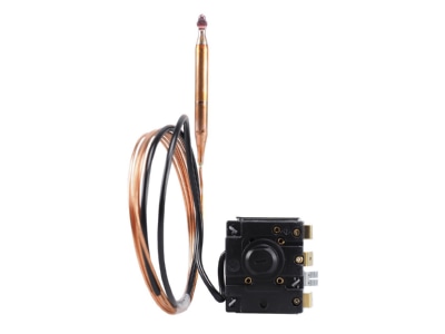 Back view 1 Jumo 60003292 Temperature switch
