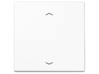 Produktbild Jung ENO LS 990 P WW Funk Wandsender aws 2 kanalig Symbole