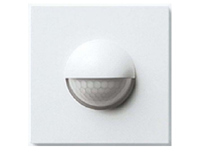Product image 1 Siedle BMM 611 0 SM Movement sensor module for door station
