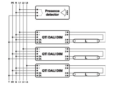 Connection diagram LEDVANCE QTi DALI 2x14 24 DIM Electronic ballast 2x14   24W
