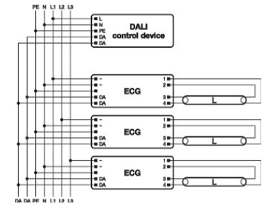 Connection diagram LEDVANCE QTi DALI 1x36 DIM Electronic ballast 1x36W
