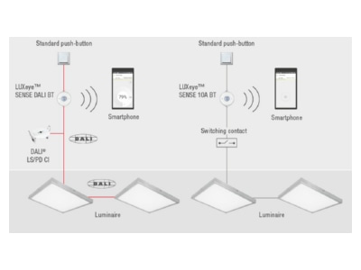 Wiring plan LEDVANCE LUXEYE SENSE DALI BT Light control system component
