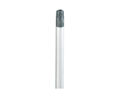 Detailansicht Cimco 11 7320 Torx Schraubendreher T20 x100 