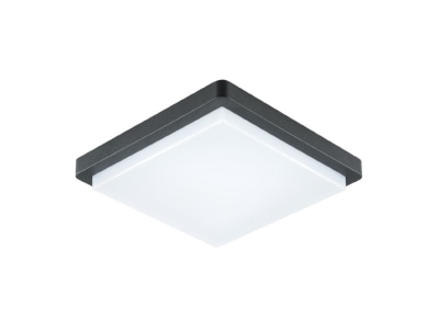Produktbild EVN DAQH54141502 LED Anbauleuchte 3000K IP54 anth