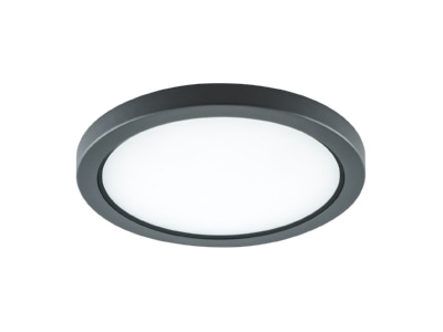 Produktbild EVN DARG54151502 LED Anbauleuchte 3000K IP54 anth