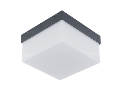 Produktbild EVN WAQ54091502 LED Wandanbauleuchte 3000K IP54