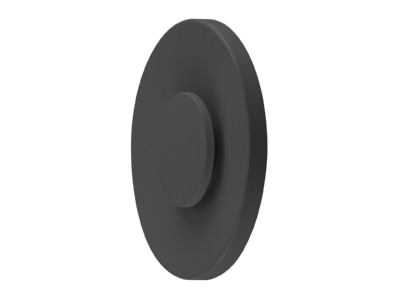 Produktbild EVN WAR65101502 LED Wandanbauleuchte 3000K IP65 anth