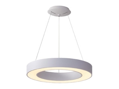 Product image EVN RPD600125 Ceiling  wall luminaire LED exchangeable
