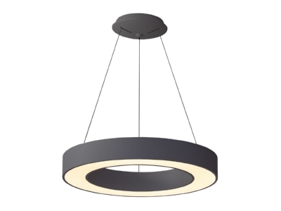 Product image EVN RPT600925 Ceiling  wall luminaire LED exchangeable
