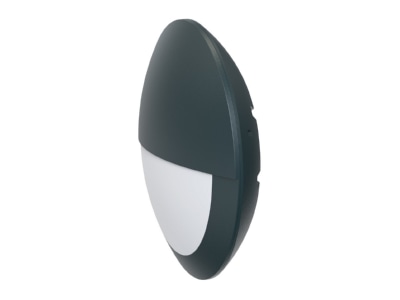 Produktbild EVN WE30181525 LED Wandleuchte IP65