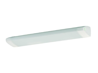 Produktbild Ridi Leuchten SPN R1X085 25ND S Spiegelleuchte fuer RIDI Tube