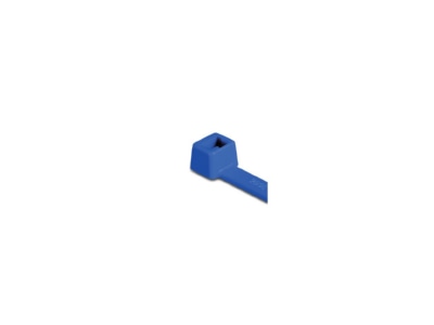 Product image 1 Hellermann Tyton T30R E TFE BU 100 Cable tie 3 5x150mm blue
