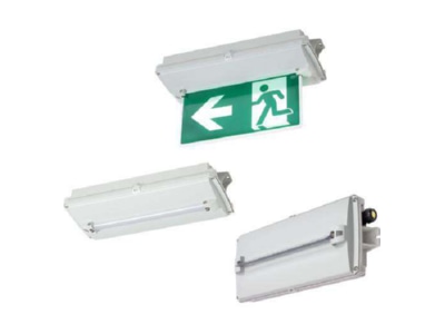 Product image Stahl 6109 111 0101 287804 Ex proof emergency security luminaire 6109 111 0101287804
