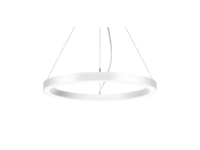 Detailed view Brumberg 13830173 Pendant luminaire LED not exchangeable