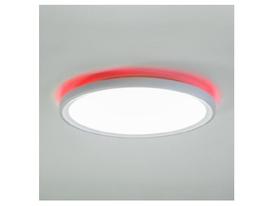 Detailed view 2 Brumberg 81021406 Optical accessory for luminaires
