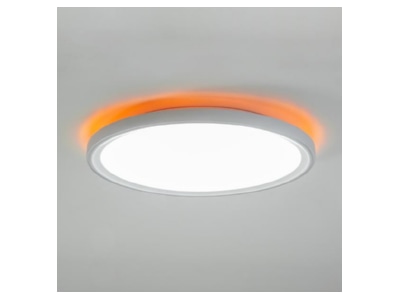 Detailed view 1 Brumberg 81021409 Optical accessory for luminaires
