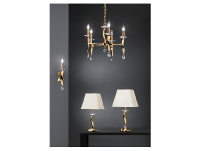 Detailansicht Brumberg 00809041 Wandleuchte Girata 1Lp  E14 40W  gold 809041