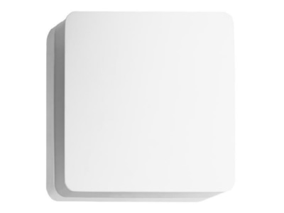 Produktbild Brumberg 10034173 LED Wandaufbauleuchte 230V 3000K IP54 ws