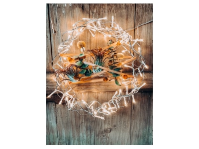 Detailed view Hellum 577938 Festive lighting