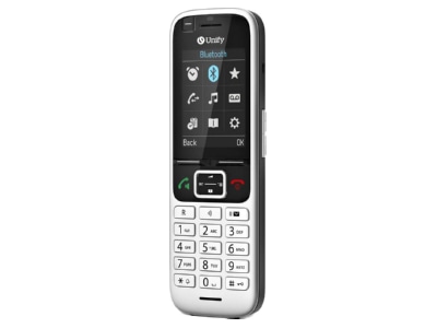 Ansicht schrg Unify L30250 F600 C510 OpenScape DECT Phone S6